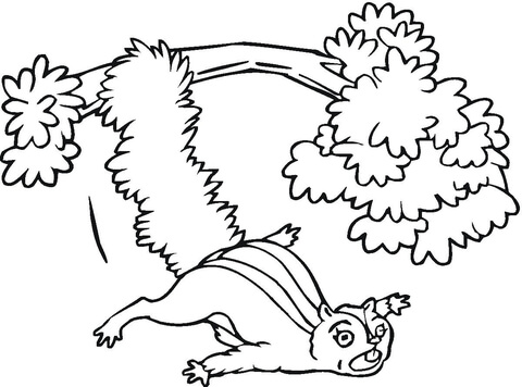 Flying Squirrel Coloring Page